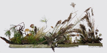 2017-09-24 Willkommen EOTA bearbx