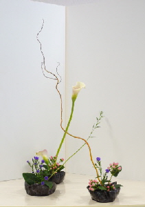 2017-09-28 EOTA Hana-kanade