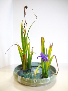 2017-09-29 EOTA Hagumi Sp�t-Sommer