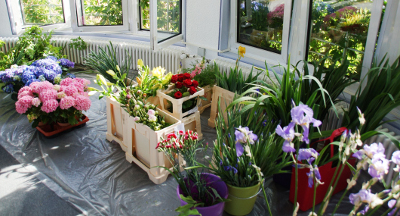 2019-06-01 1-03 Blumenmaterial für Rimpa