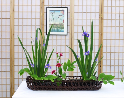 2019-06-01 2-03 Rimpa Kreisform Iris-Salomonssiegel Linda Koller