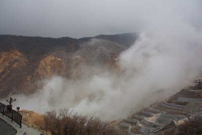 2019-03-28 Fuji - Hakone 2