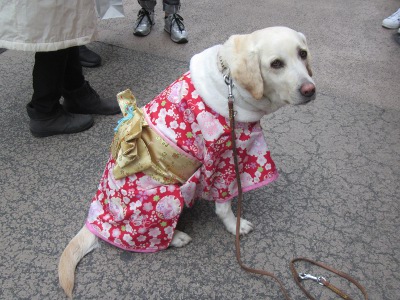 2019-03-29 Kamakura 4