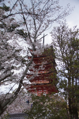 2019-04-01 Miyajima 4