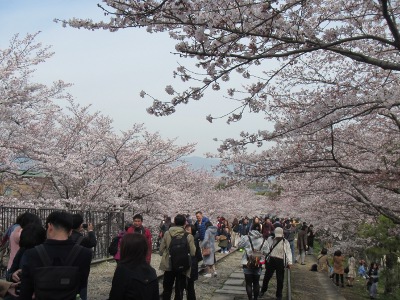 2019-04-05 Kyoto 1 zum Nanzen-ji 