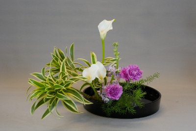 Ohara Ikebana Moribana 5 Materialien