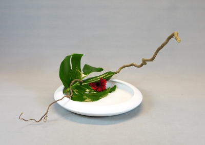 Ohara Ikebana Freestyle