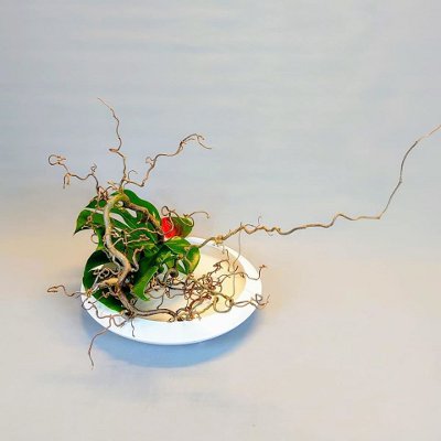 Ohara Ikebana Freestyle Satoshi Hirota