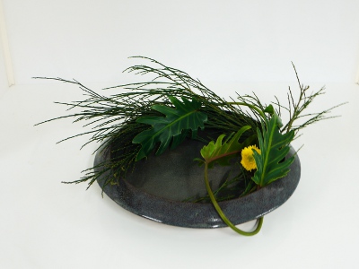 Ohara Ikebana Freestyle