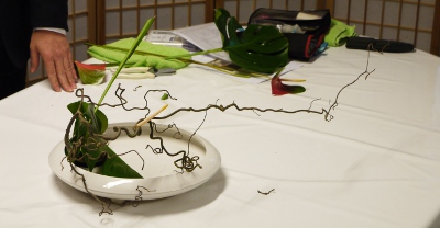 Ohara Ikebana Freestyle