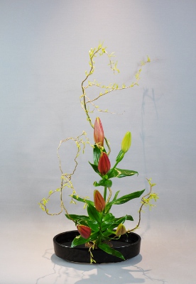 Ohara Ikebana Hana-isho