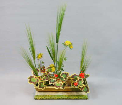 Ohara Ikebana Narabu