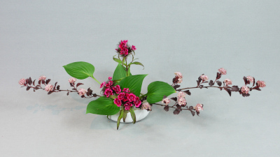 Ohara Ikebana Hiraku