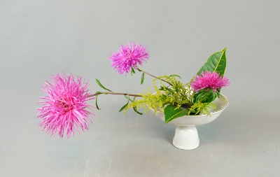 Ohara Ikebana Hana-isho