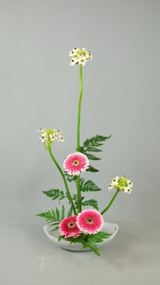 Ohara Ikebana Hana-isho