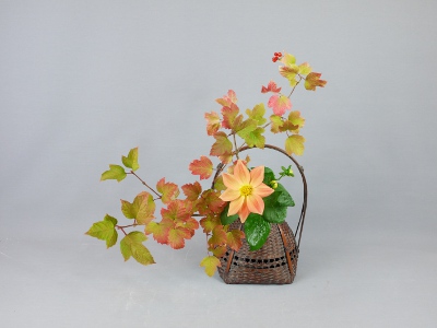 Ohara Ikebana Körbchen