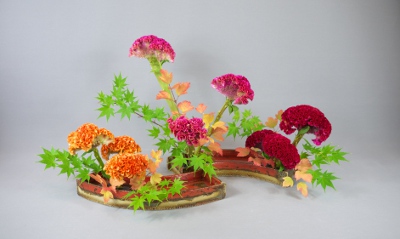 Ohara Ikebana Rimpa