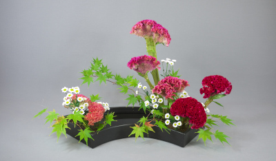 Ohara Ikebana Rimpa