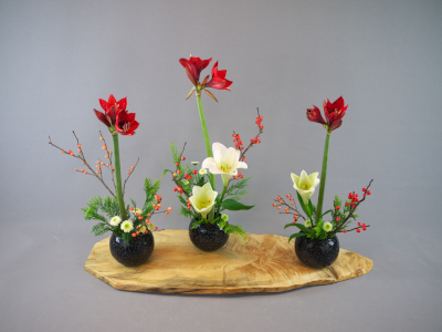 Ohara Ikebana Narabu