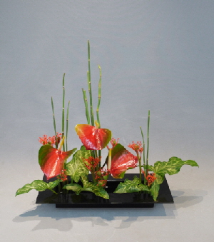 Ohara Ikebana Narabu