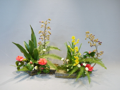 Ohara Ikebana Rimpa-cho