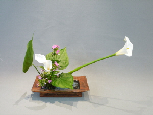 Ohara Ikebana Hana-isho