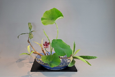 Ohara Ikebana Bunjin-cho