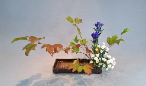Ohara Ikebana Moribana wasserreflektierend