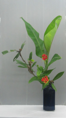 Ohara-Ikebana Bunjin