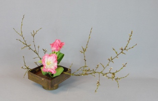 Ohara-Ikebana Hana-isho geneigt