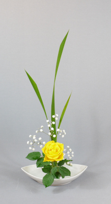 Ohara-Ikebana Hana-isho aufrecht