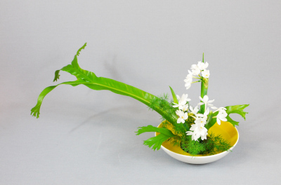 Ohara-Ikebana Hana-isho geneigt