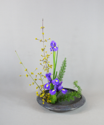 Ohara-Ikebana Moribana