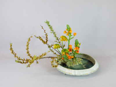 Ohara-Ikebana Moribana