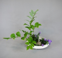 Ohara-Ikebana Traditionelles Landschafts Moribana