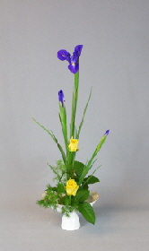 Ohara-Ikebana Hana-isho aufrecht