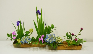 Ohara-Ikebana Rimpa